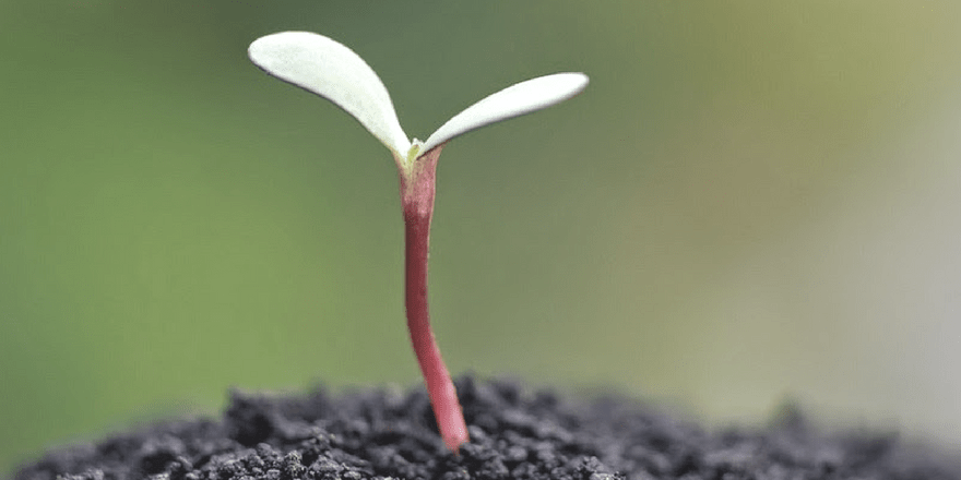 Birth of Enterprise&nbsp;Social